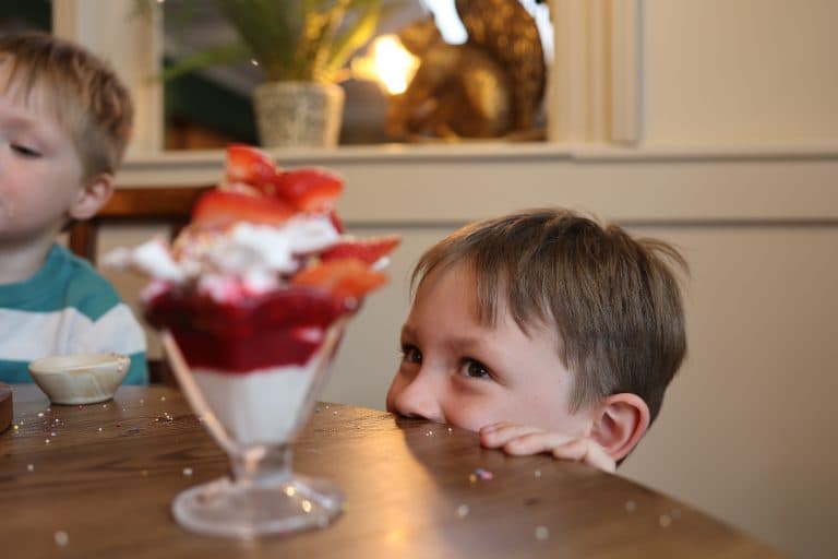 Cover Image for Your Kids Eat Free This Half Term at The Rising Sun